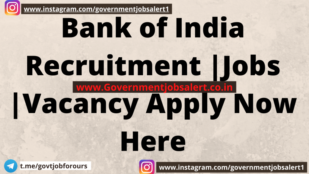 Bank of India Recruitment |Jobs |Vacancy Apply Now Here